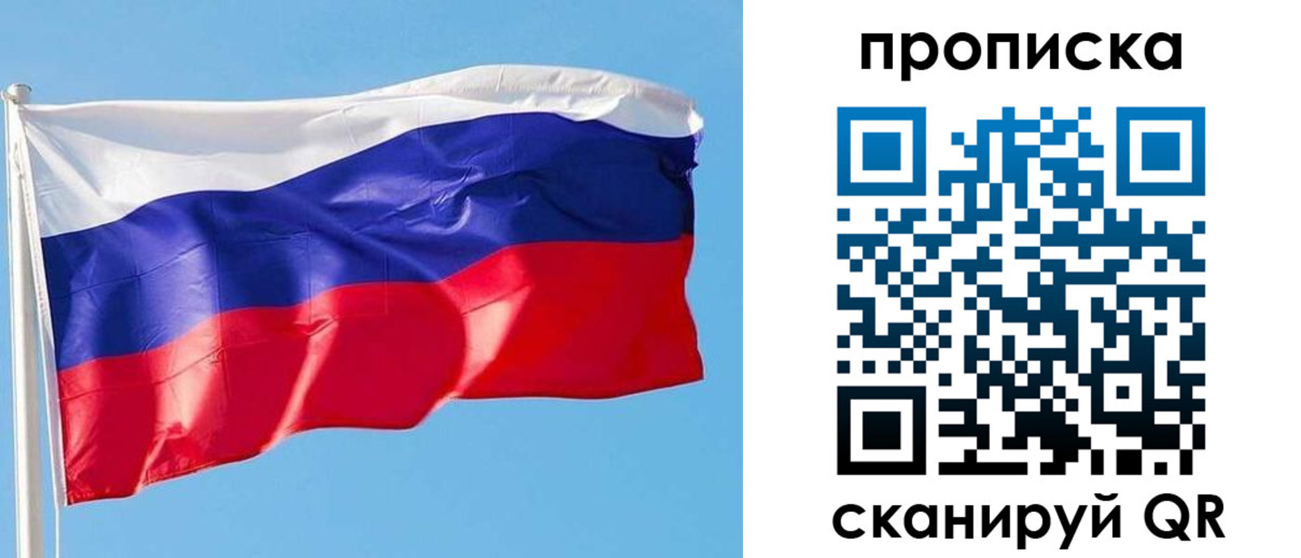 прописка поиск в Сосенском
